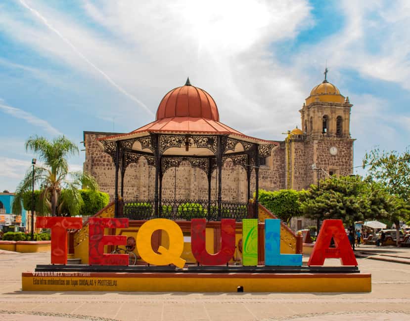 Guadalajara: Tequila Day Trip with Jose Cuervo Option - Inside a Traditional Distillery: From Fermentation to Modern Distillation