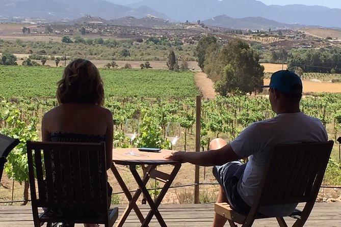 Guadalupe Valley Wine Route Tour in Baja California - Price and value: what $110.39 really buys you