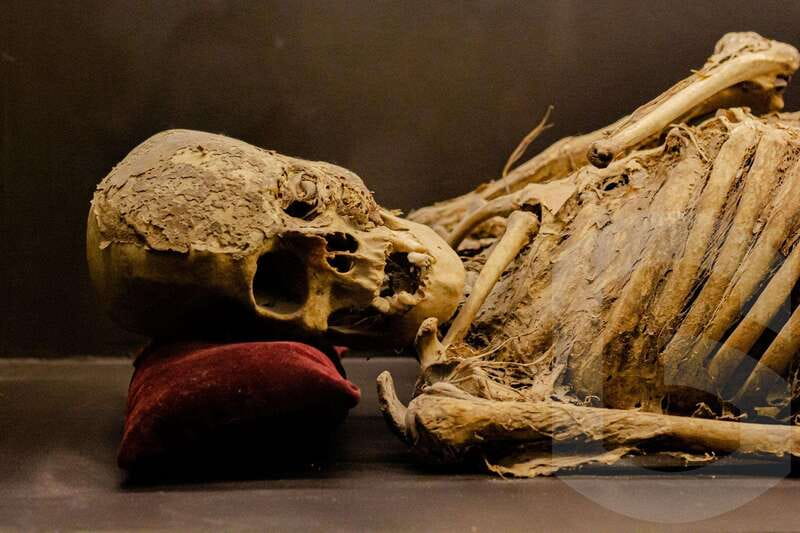 Guanajuato: Mummies, Mines and Tunnels Guided Group Tour - Museo de Momias Viajeras: the mummy museum, and the line problem