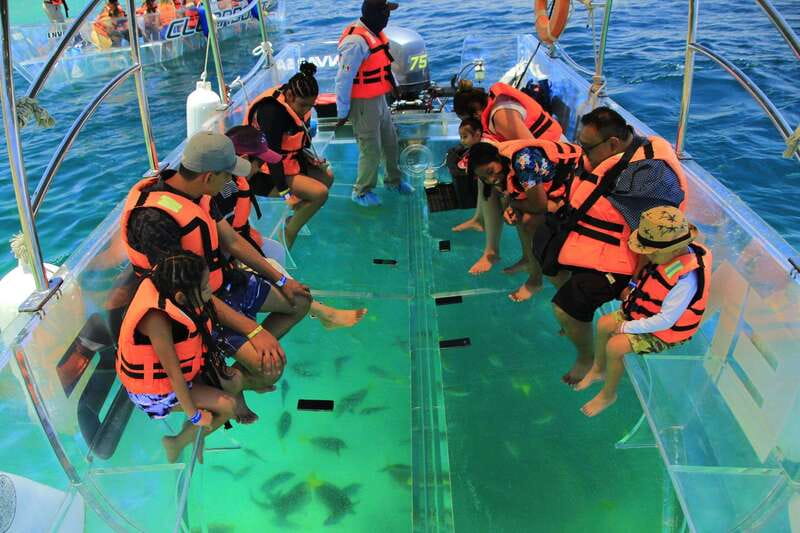 Guided Cabo Tour: Boat | Tacos & Tequila | Photos & Transfer - Transport, Timing, and the Small-Group Advantage