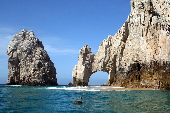 Guided Tour Los Cabos: Boat | Tacos & Tequila | Photos & Transfer - How the van ride and small-group size change the vibe
