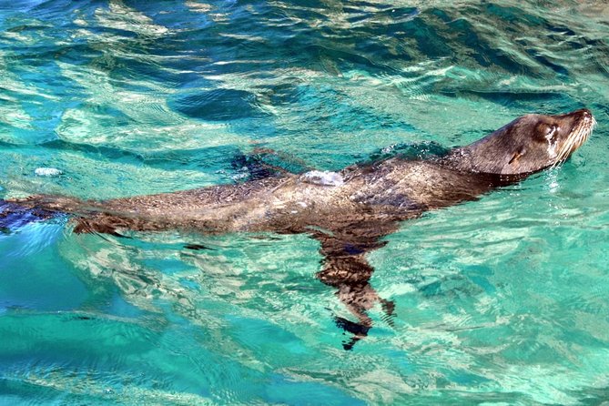 Guided Tour Los Cabos: Boat | Tacos & Tequila | Photos & Transfer - The clear boat ride to the Arch, and what happens if it can’t run