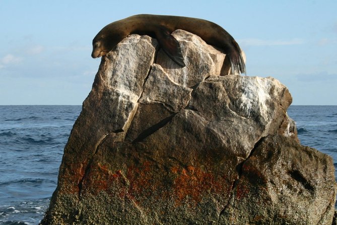 Guided Tour Los Cabos: Boat | Tacos & Tequila | Photos & Transfer - Lunch, shopping freedom, and the pace that feels fair