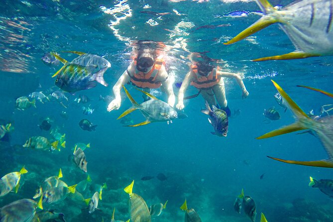 Half Day Cabo Snorkel Adventure with Lunch and Open Bar - Meeting up and getting to the marina without losing your morning