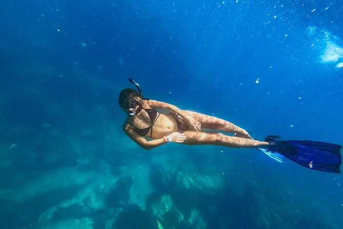 Half Day Cabo Snorkel Adventure with Lunch and Open Bar - The first snorkeling bay: what you do before the lunch bell
