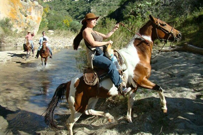 Half-Day Horseback Riding Adventure - Timing, getting there, and what a half-day really means