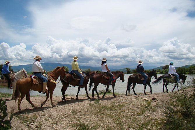 Half-Day Horseback Riding Adventure - Who this tour suits, and who should think twice