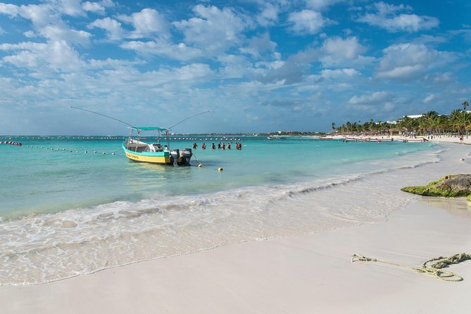 Half-Day Sea Turtle and Cenote Snorkeling Tour from Cancun & Riviera Maya - Sea Turtle and Cenote Tour From Cancun: Why This Combo Works