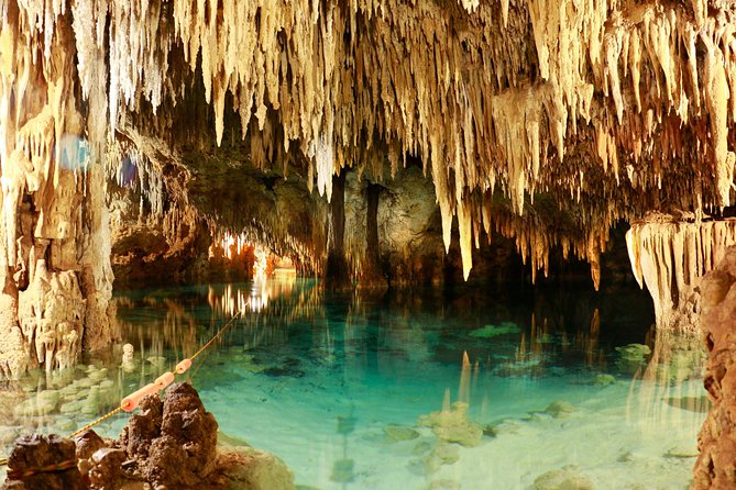 Half-Day Sea Turtle and Cenote Snorkeling Tour from Cancun & Riviera Maya - Stop 1, Akumal Beach Snorkeling: Turtles, Rays, and How Crowds Shape the Experience