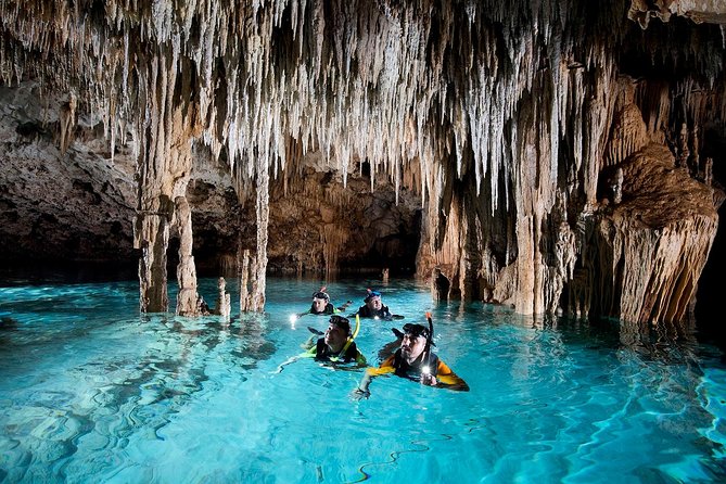 Half-Day Sea Turtle and Cenote Snorkeling Tour from Cancun & Riviera Maya - Sun Rules and What to Wear: Rashguards Beat Sunscreen Here