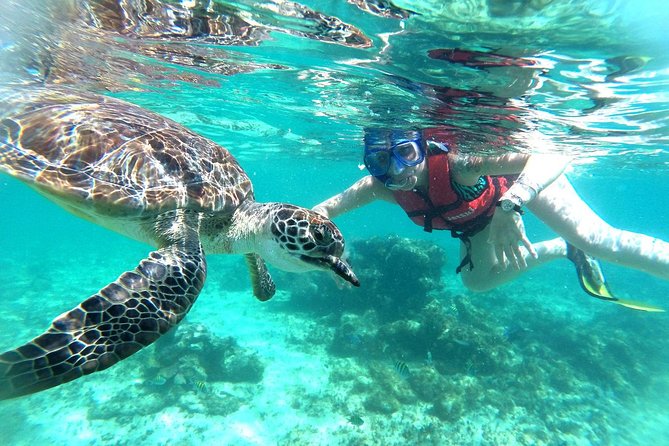 Half-Day Sea Turtle and Cenote Snorkeling Tour from Cancun & Riviera Maya - Photos and Add-On Costs: How to Get Memories Without Getting Surprised