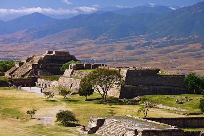 Half day tour to Monte Albán - Price, value, and what the guide quality really affects