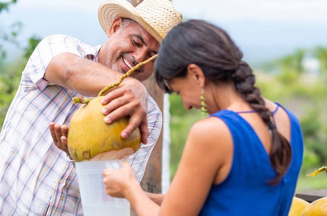 Heartland Traditions Tour - The Inland Drive Through Valle de Banderas: Why the Countryside Matters