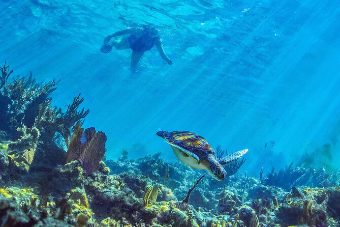 Hidden Cenote Swim: Snorkeling, Sea Turtles and Beachside Lunch - Stop 3 at Punta Venado Beach Club: lunch and downtime you can feel