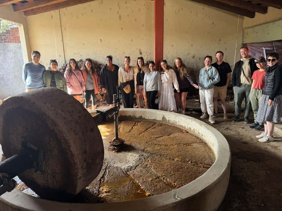 Hierve el Agua, Mitla, El Tule Tree, Rugs, Mezcal Distillery Tour - Lunch stop: plan around a late buffet