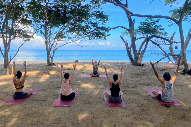Hike and Yoga Jungle Experience in Mexico - Key points worth your morning