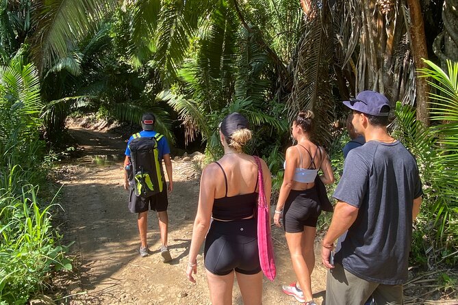 Hike and Yoga Jungle Experience in Mexico - A 9:30 Start That Lets You Beat Sayulita’s Crowds