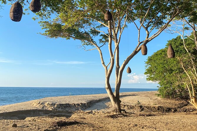 Hike and Yoga Jungle Experience in Mexico - The Return Walk: Easier Than the Start, Still With Views