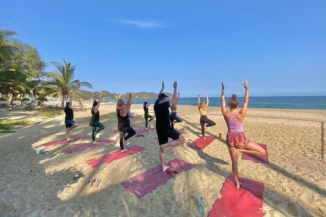 Hike and Yoga Jungle Experience in Mexico - Where to Meet: Chaman Mexican Creative Kitchen (and How to Arrive Smoothly)