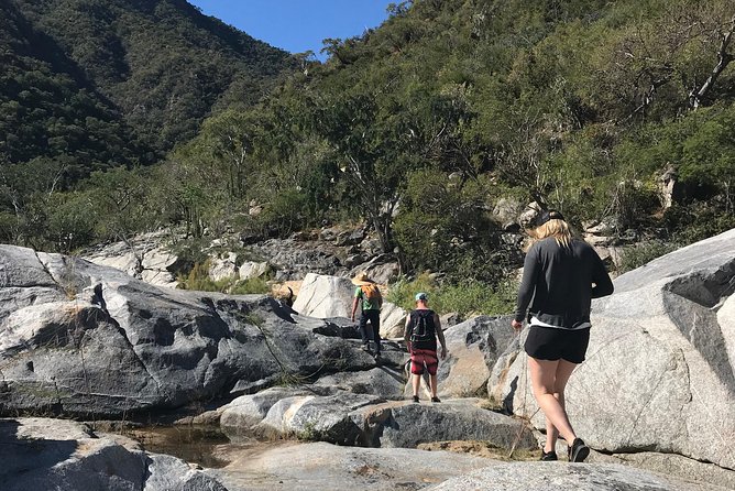 Hike the native Pericu road in Sierra de la Laguna. - Key reasons this hike works