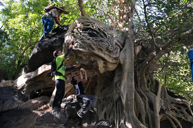 Hike the native Pericu road in Sierra de la Laguna. - The best part: water springs, natural pools, and when to plan your swim