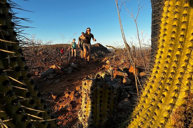 Hiking Todos Santos at Sunset - Todos Santos Town Stop: Art Streets, Ice Cream, and Local Context