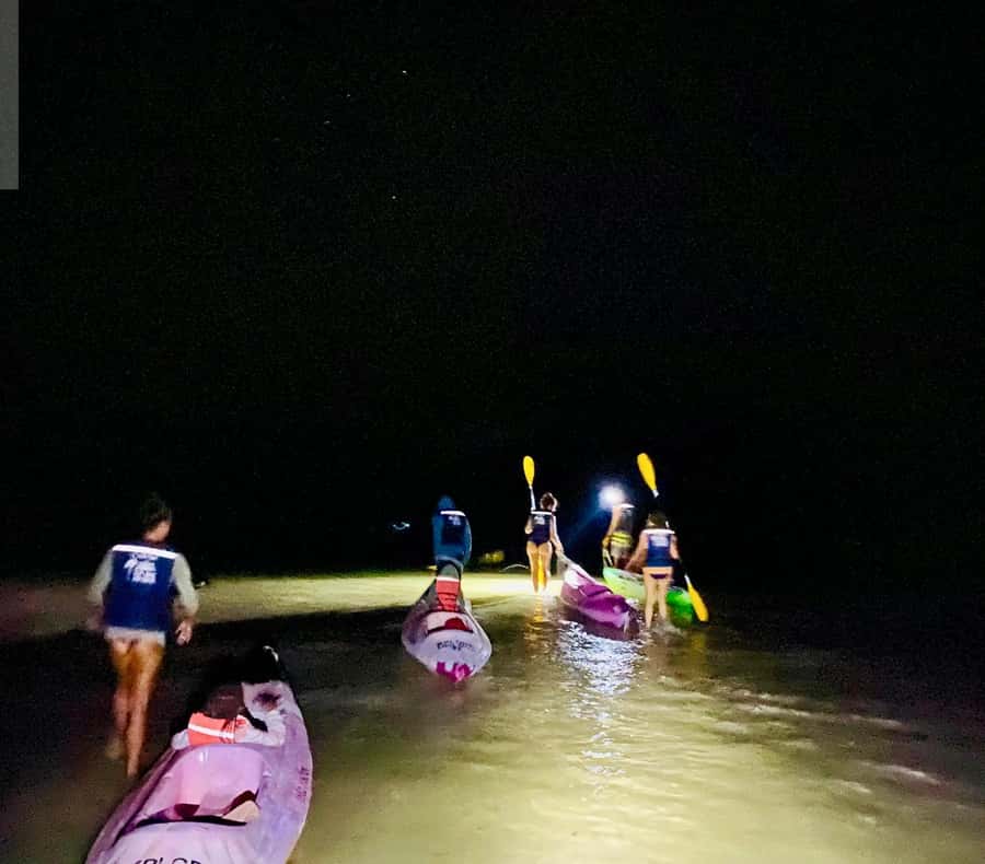 Holbox: Bioluminescence Kayaking and Stargazing - The Paddle Out: How They Find the Best Dark Water