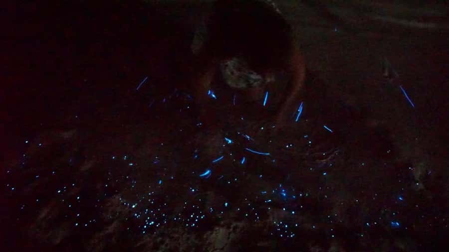 Holbox: Bioluminescence Kayaking and Stargazing - Stargazing Setup: When the Sky Cooperates