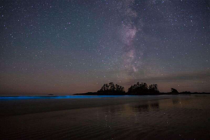 Holbox: Guided Bioluminescence Kayaking Tour - The kayaking part: short paddle, low pressure, real attention