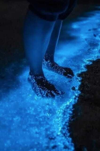 Holbox: Guided Bioluminescence Kayaking Tour - Stargazing on the water: constellations and galaxies with a guide