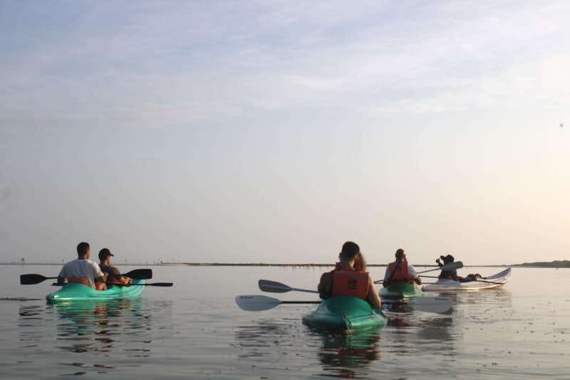 Holbox: Guided Sunrise/Sunset Kayak Tour by Mangrove Reserve - Key highlights worth your attention
