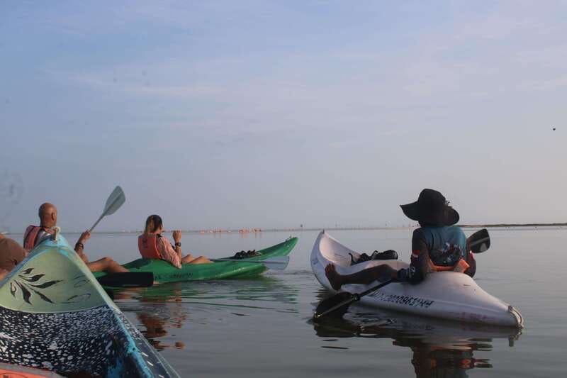 Holbox: Guided Sunrise/Sunset Kayak Tour by Mangrove Reserve - Sunrise on the mangroves: what the 2.75 hours on-water feels like