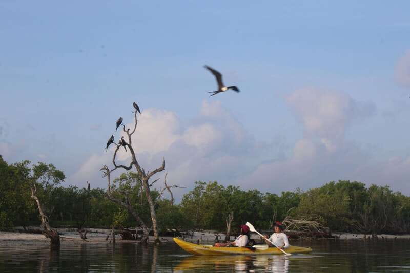 Holbox: Guided Sunrise/Sunset Kayak Tour by Mangrove Reserve - Who this tour is best for, and who should think twice