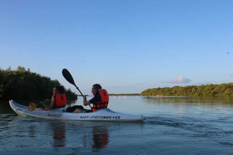 Holbox: Guided Sunrise/Sunset Kayak Tour by Mangrove Reserve - Should you book the Holbox guided sunrise or sunset kayak tour?
