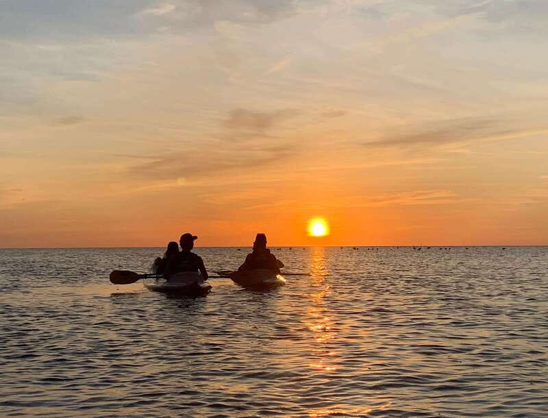 Holbox: Mangrove Sunset Kayak Tour - Wildlife Viewing the Right Way: Birds First, Crocodiles With Distance