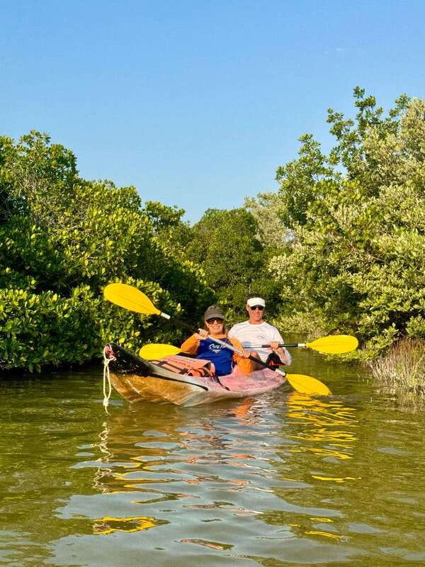 Holbox: Mangrove Sunset Kayak Tour - Mangroves and the Calm Effect You Can Actually Feel