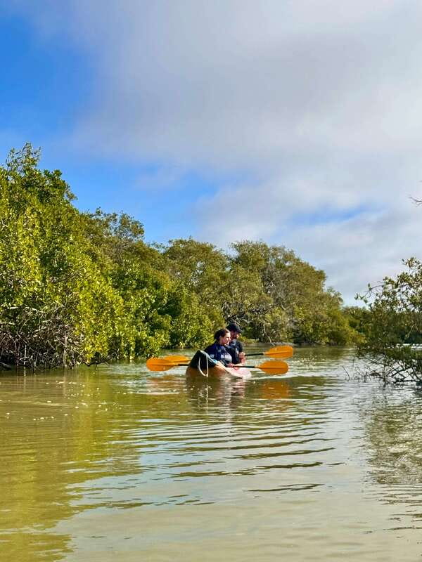 Holbox: Mangrove Sunset Kayak Tour - Weather, Tides, and the Realities of Kayaking on an Island