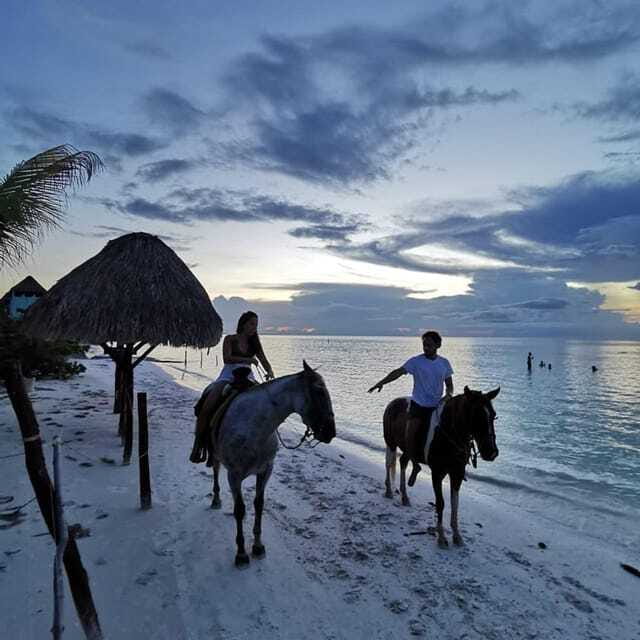 Holbox: Private Horseback Riding - Wildlife moments, including flamingos, can be part of it
