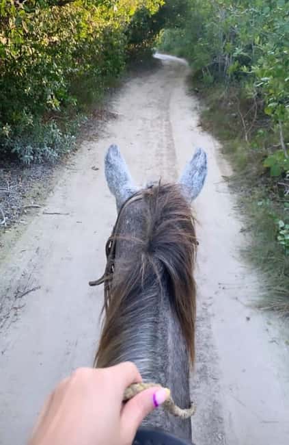 Holbox: Private Horseback Riding - The 80-minute plan: what your time is actually for