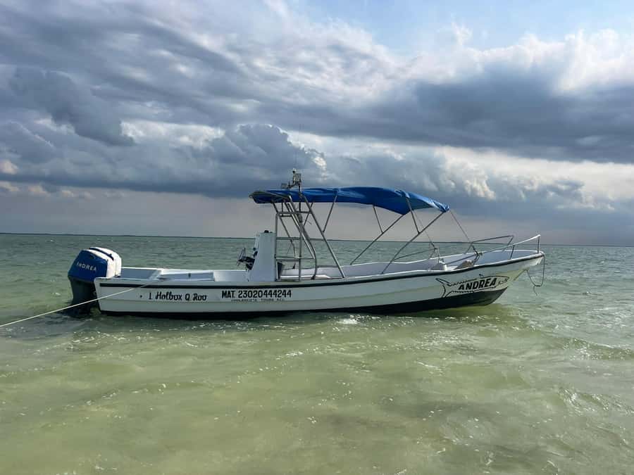 Holbox: Punta Mosquitos, Birds & Pasión Island Boat Tour - Punta Mosquitos: sandbanks, guided time, and a last-water blast