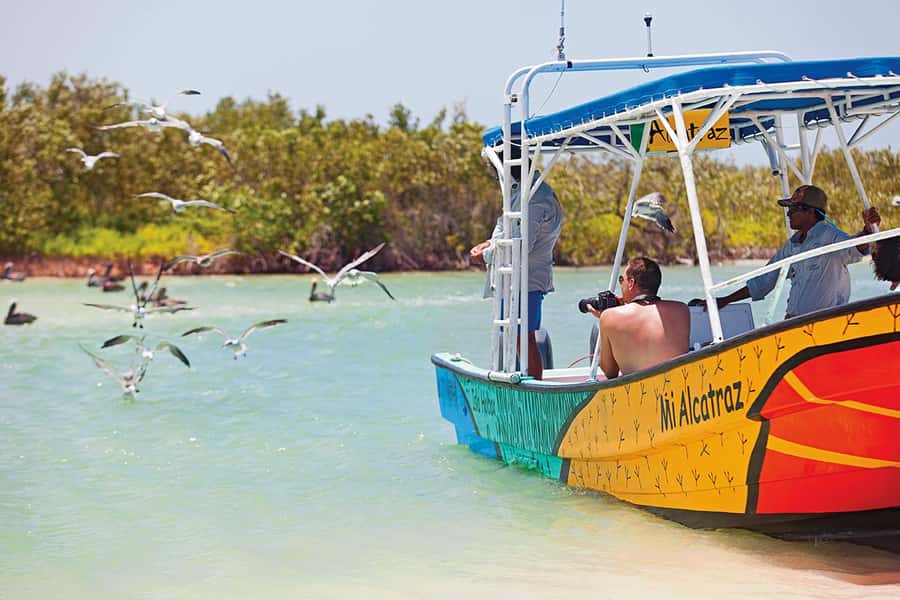 Holbox: Search and Swim with Whale Sharks ! All Inclusive. - Who this tour suits best, and who should skip it