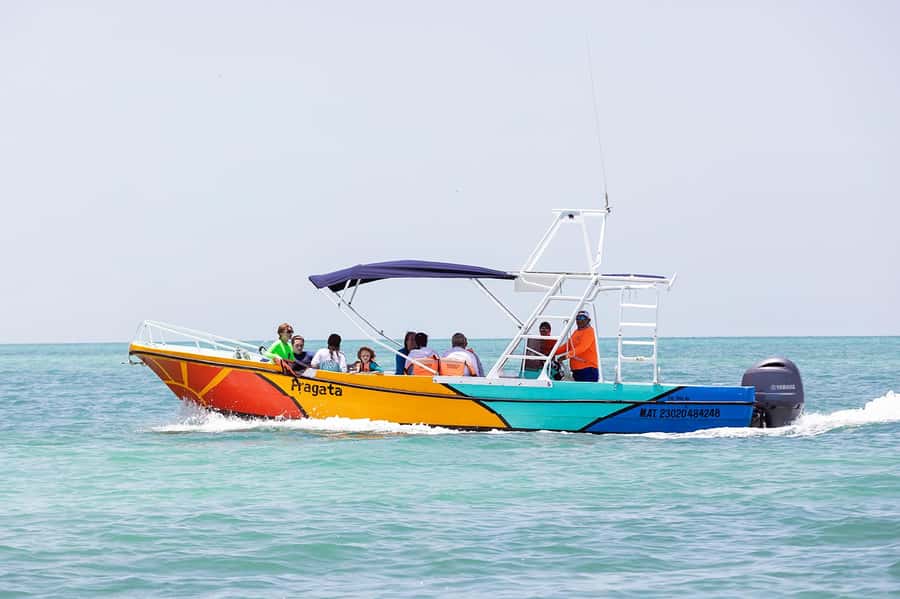 Holbox: Search and Swim with Whale Sharks ! All Inclusive. - Meeting at Marina VIP Holbox, then getting briefed fast