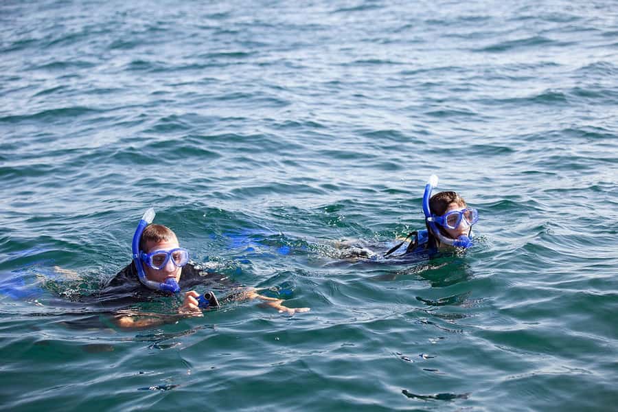 Holbox: Search and Swim with Whale Sharks ! All Inclusive. - Swimming with whale sharks in tiny two-person groups