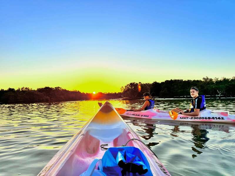 Holbox: Sunrise & Mangrove Kayak Tour - Kayaking Holbox at sunrise, not just another photo stop