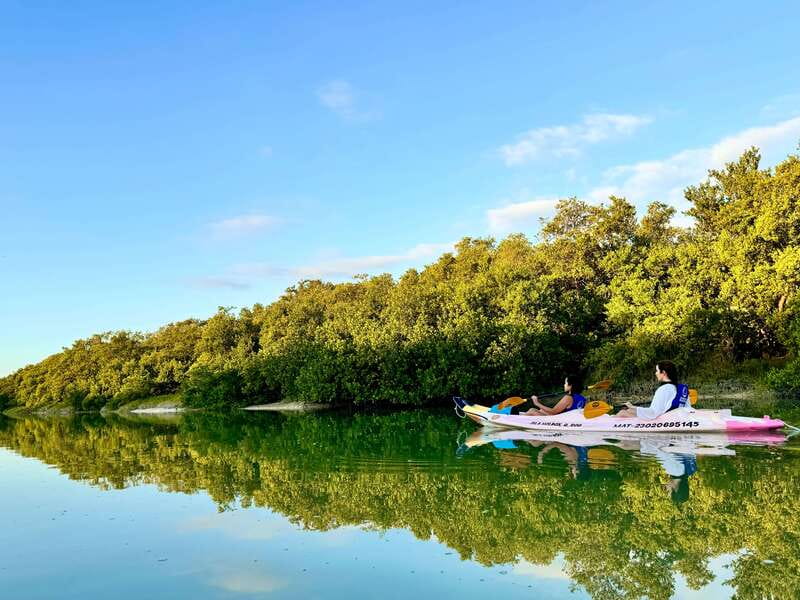 Holbox: Sunrise & Mangrove Kayak Tour - What to bring so the tour stays fun, not annoying
