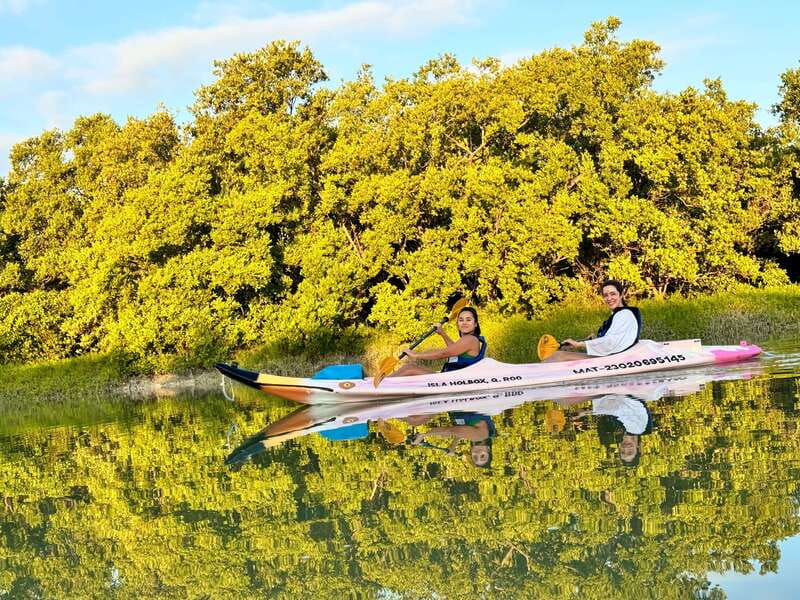 Holbox: Sunrise & Mangrove Kayak Tour - From hotel pickup to Punta Mosquito, you start the day on island time