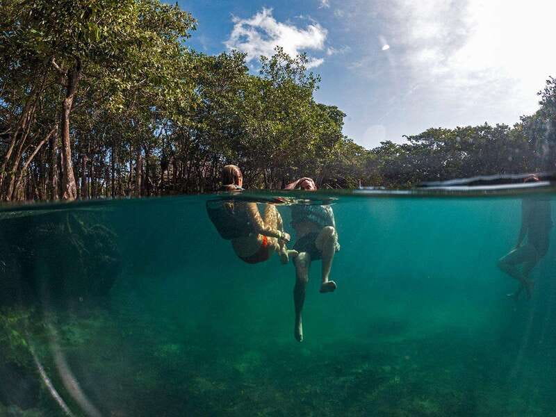 Holbox: Yum Balam Reserve Classic Boat Tour - Why a Yum Balam Classic boat tour feels different from a standard “island hop”