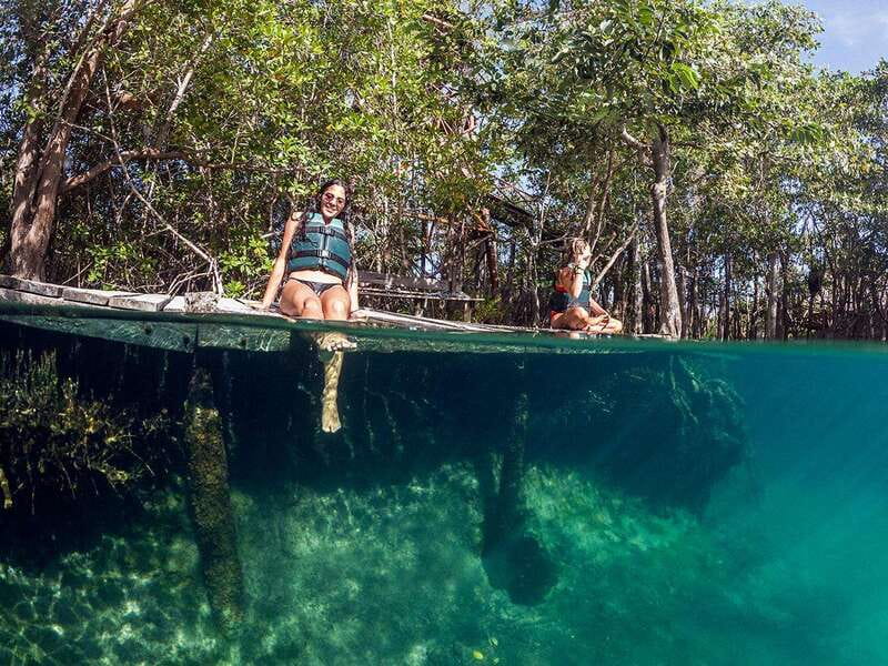 Holbox: Yum Balam Reserve Classic Boat Tour - The Passion Island stop, where birdwatching is the whole point