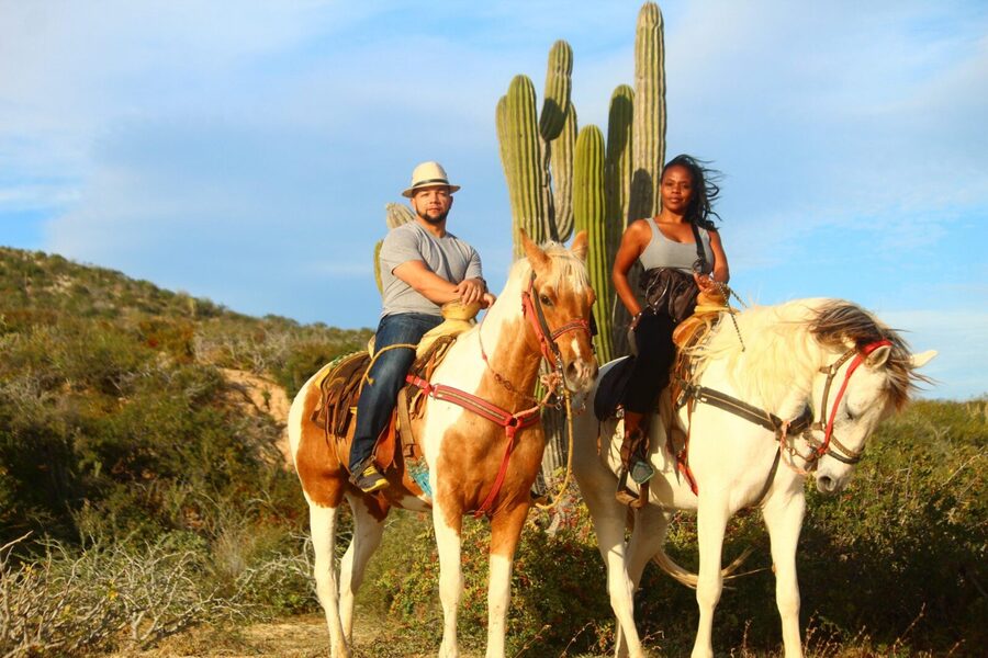 Horseback Riding Adventure in Playa Migriño with Tequila Tasting - Who should book this horseback ride in Cabo