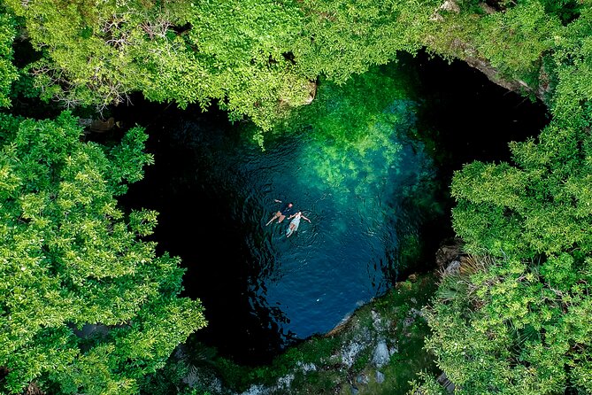 Horseback Riding and Cenote Swim from Cancun or Playa del Carmen - The jungle learning moments: plants, animals, and Mayan-style storytelling